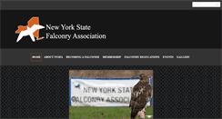 Desktop Screenshot of nysfa.org