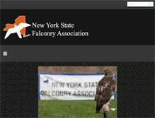 Tablet Screenshot of nysfa.org